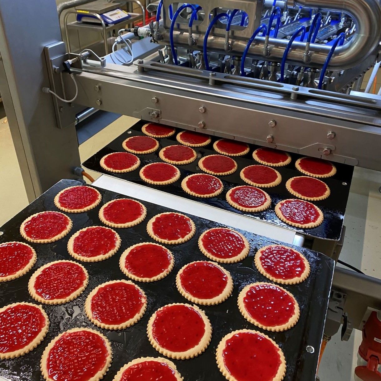 Biscuits covered with jam by a FoodJet marmalade depositor