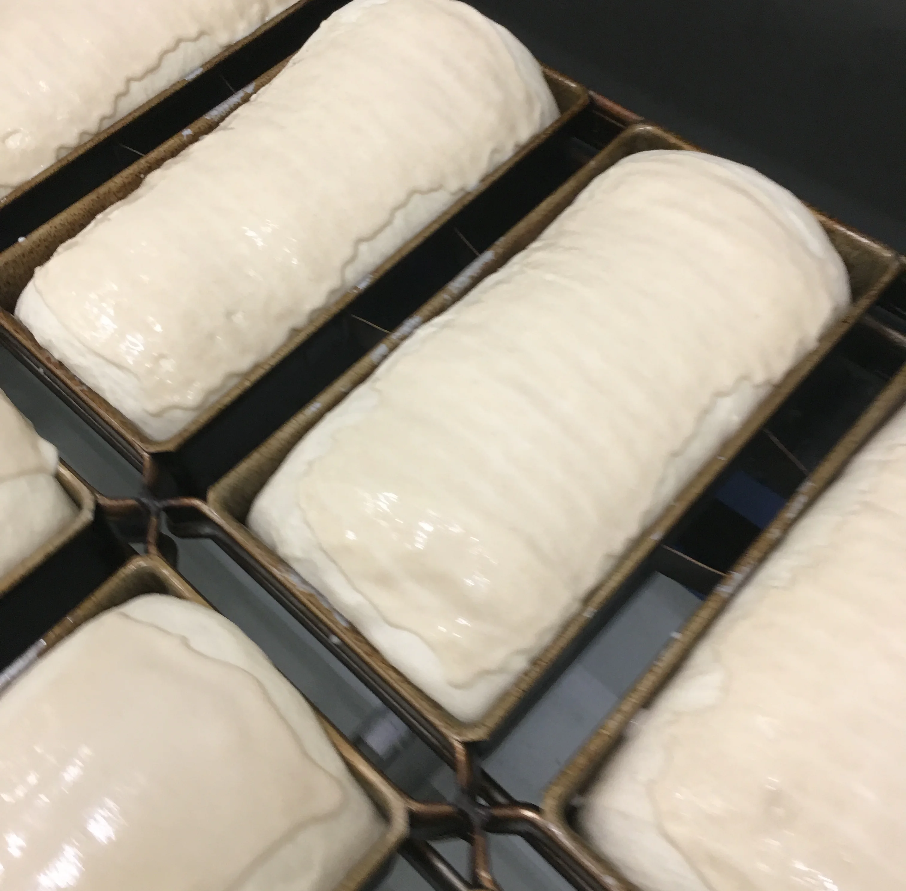 Tiger bread in tins before baking