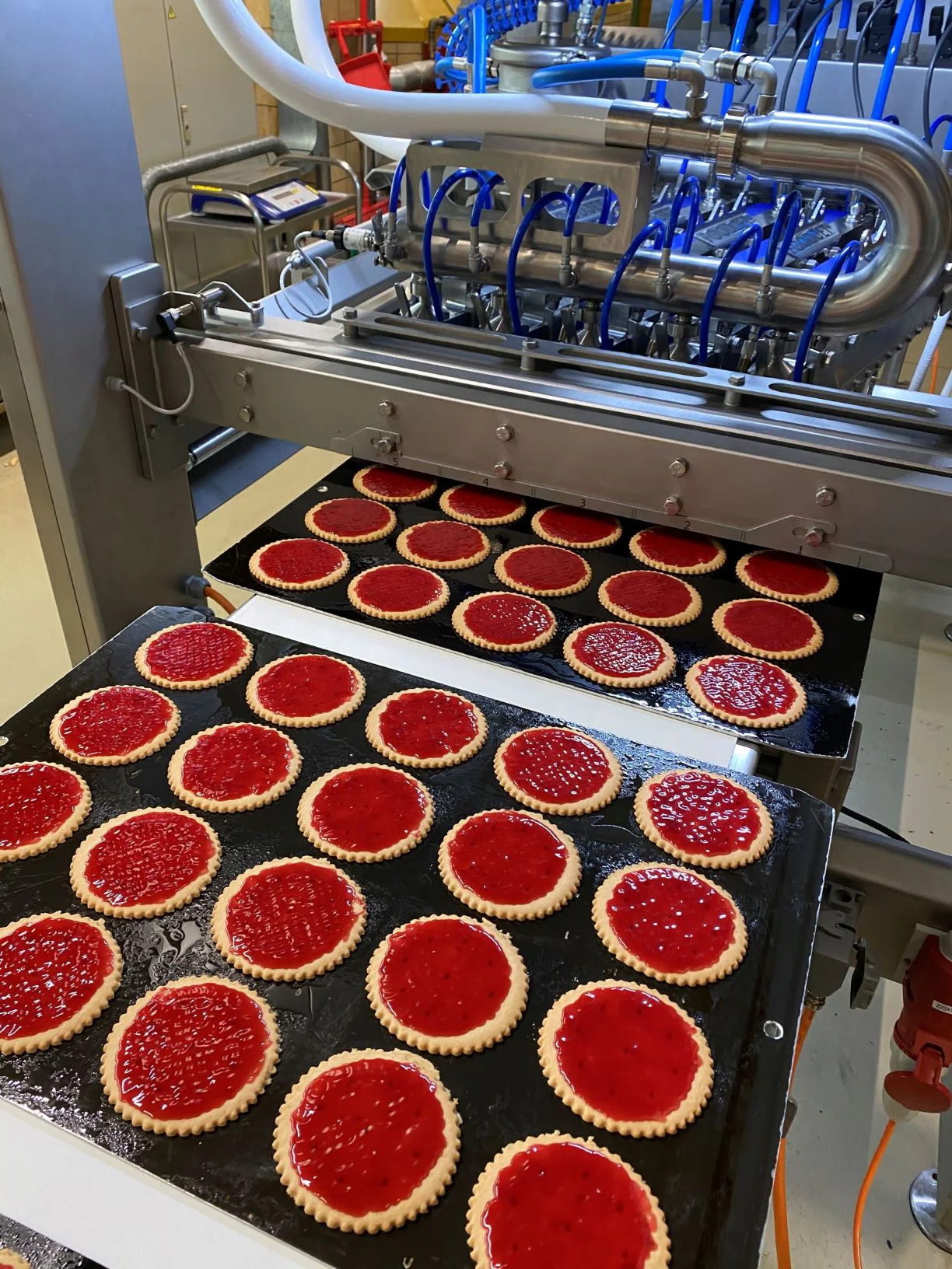 Biscuits covered with jam by a FoodJet marmalade depositor